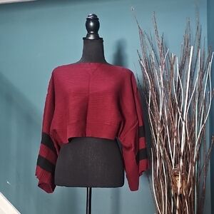 Eva Mendes for New York & Company Red and Black Striped Sweater